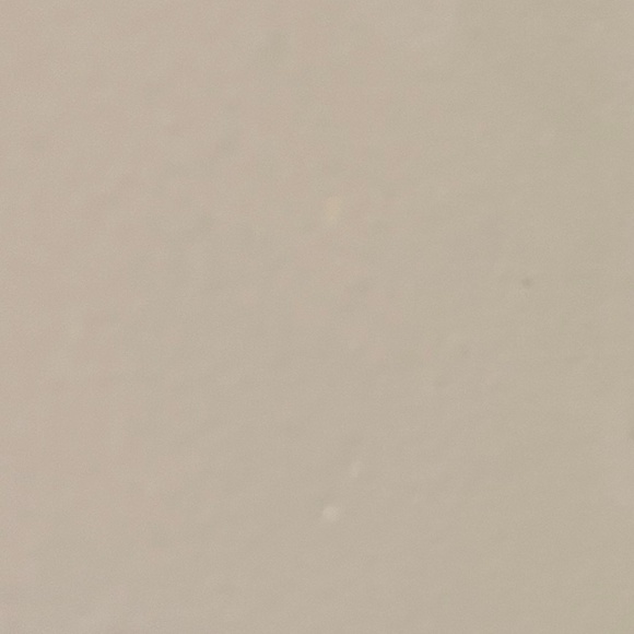 Meet your Posher, Liza - Picture 1 of 1